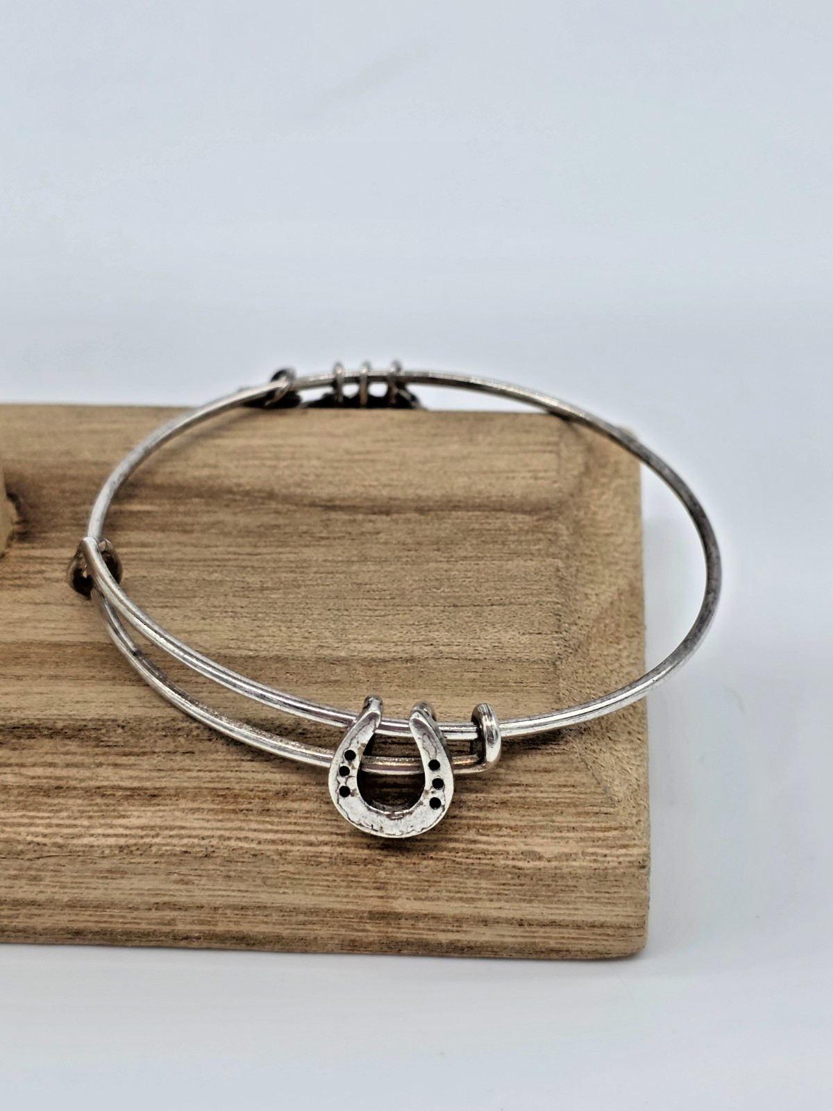 Alex and Ani KENTUCKY DERBY HORSESHOE Rafaelian Silver Slide Charm Bangle gallery