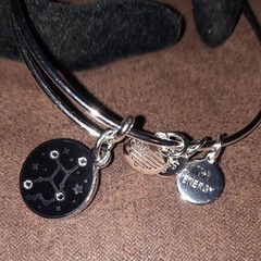 Alex and Ani Virgo Zodiac Charm Bangle Bracelet silvertone black enamel energy