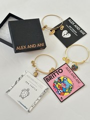 ALEX AND ANI Lot of 3 CHARM BRACELETS Britto Turtle Best Friends BANGLE JEWELRY