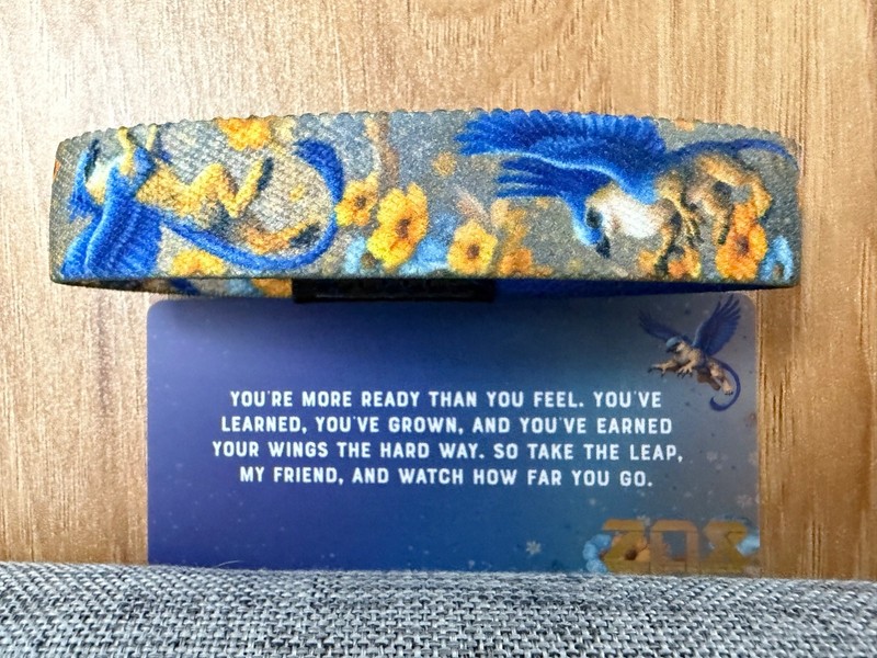 “ZOX UP YOU GO” MEDIUM INTERACTIVE $6 SHIPPING FOR UP TO 8 ZOX’S gallery