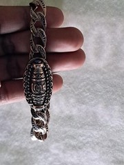 11-Character Mantra 9-Dzi-Bead Bracelet Sz 8″ [BRA13] 57g. 11mm