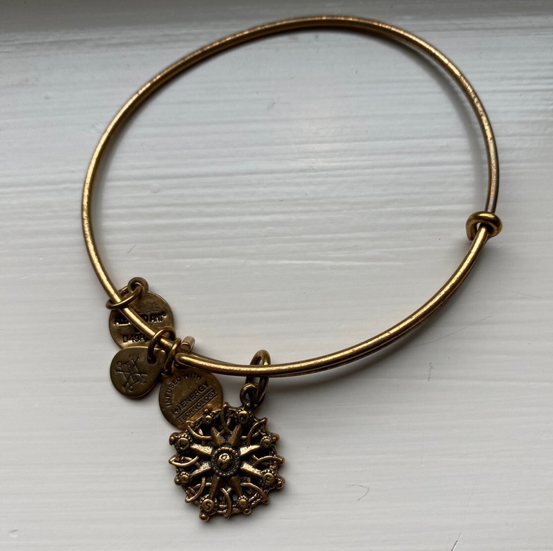 ALEX AND ANI Compass Bracelet Gold Tone Bangle & Charm Ships FREE w/Gift Bag gallery