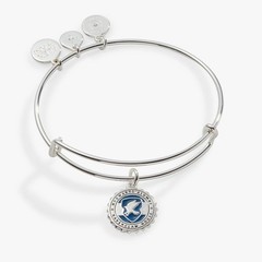 Alex and Ani – Harry Potter Ravenclaw House Charm Bangle Silver