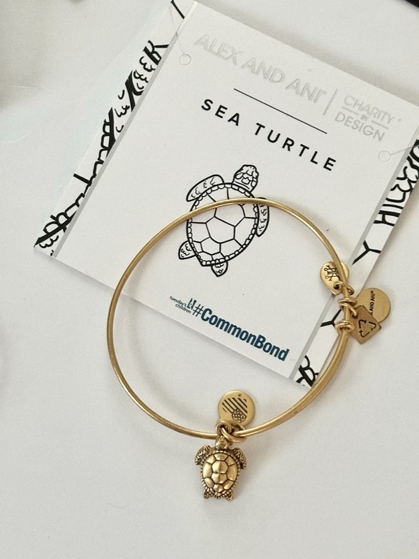 ALEX AND ANI Lot of 3 CHARM BRACELETS Britto Turtle Best Friends BANGLE JEWELRY gallery