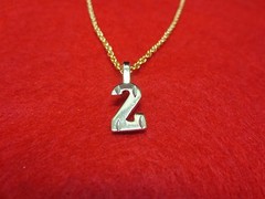 14KT GOLD EP NUMBER 2 SPARKLING CUT CHARM WITH ROPE CHAIN SET 16″-30″