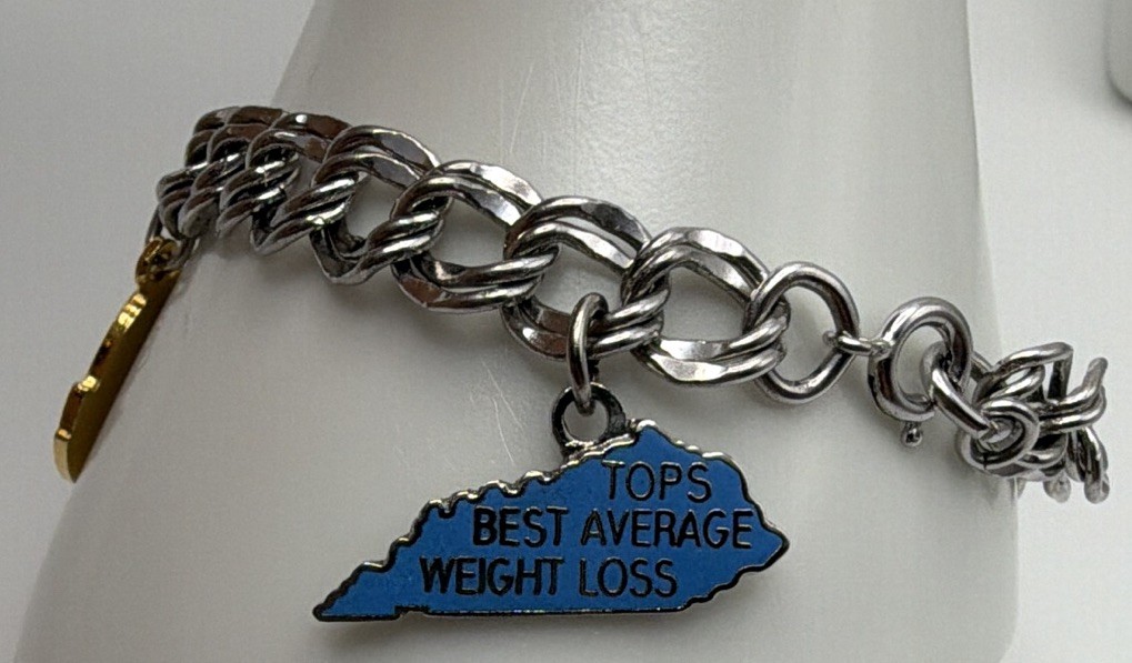 Silver Tone Curb Chain Charm Bracelet, Enamel Multicolor Dangle Charms gallery