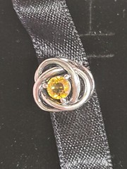PANDORA HONEY ETERNITY CIRCLE CHARM – NOVEMBER
