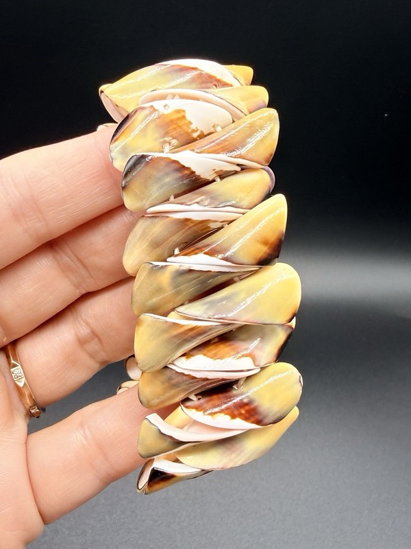 Vintage 1970s Natural Cone Conch Shell Slice Stretch Cuff Bracelet Boho Beachy gallery