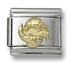 18K Italian Charm Horoscope Zodiac Pisces 9 mm Stainless Steel Modular Link Gift
