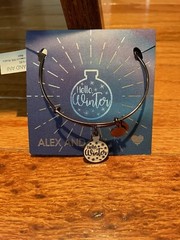 Alex And Ani Hello Winter Women’s Glitter Ornament Charm Bangle Bracelet New