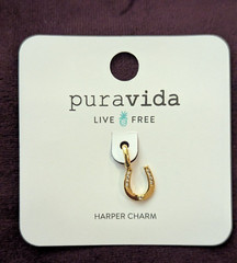 Puravida Harper Horseshoe Charm Brass Base with Gold Plating Crystal Stone