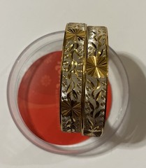 Micro-Gold Plated Tri Color Women’s Indian/Pakistani 2 Piece Bangle Set New