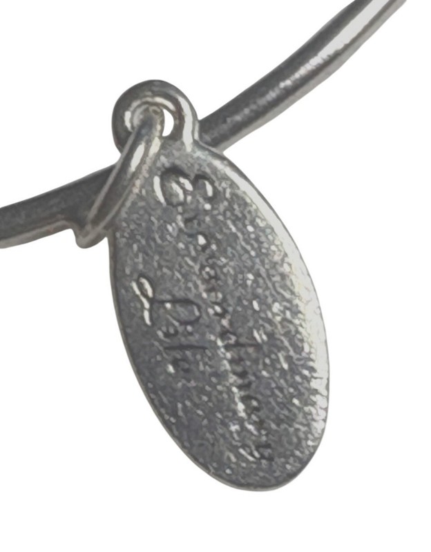 "Extraordinary Life" Always Sisters 925 Sterling Silver Adjustable Charm Bangle gallery