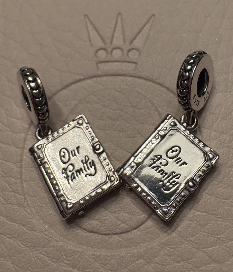 1 Pandora Our Family Album Book To My Mother Thank You Dangle Charm Retired
