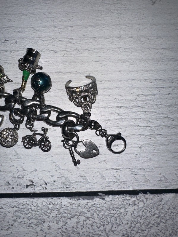 FOSSIL DESIGNER SILVERTONE CHARM BRACELET WITH 18 ASSORTED CHARMS gallery