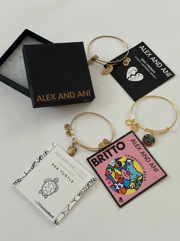 ALEX AND ANI Lot of 3 CHARM BRACELETS Britto Turtle Best Friends BANGLE JEWELRY gallery