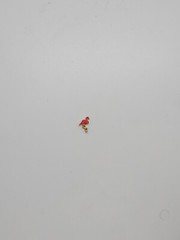 Pink Flamingo Floating Charm #135 For Your Origami Owl Necklace Free Shipping