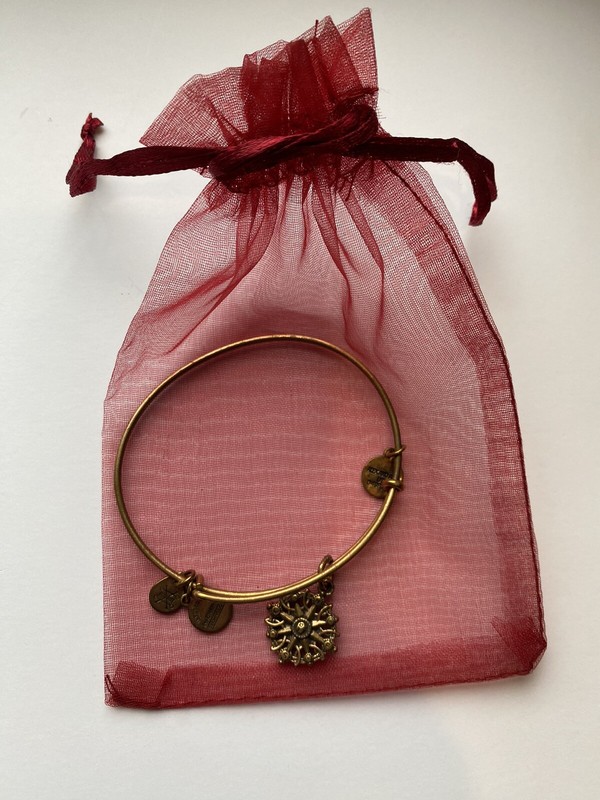 ALEX AND ANI Compass Bracelet Gold Tone Bangle & Charm Ships FREE w/Gift Bag gallery