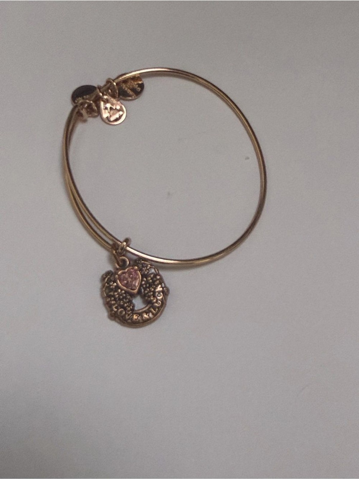 Love and Luck Horse Shoe Charm Bangle Bracelet with Pink Accent Alex and Ani gallery