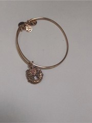 Love and Luck Horse Shoe Charm Bangle Bracelet with Pink Accent Alex and Ani