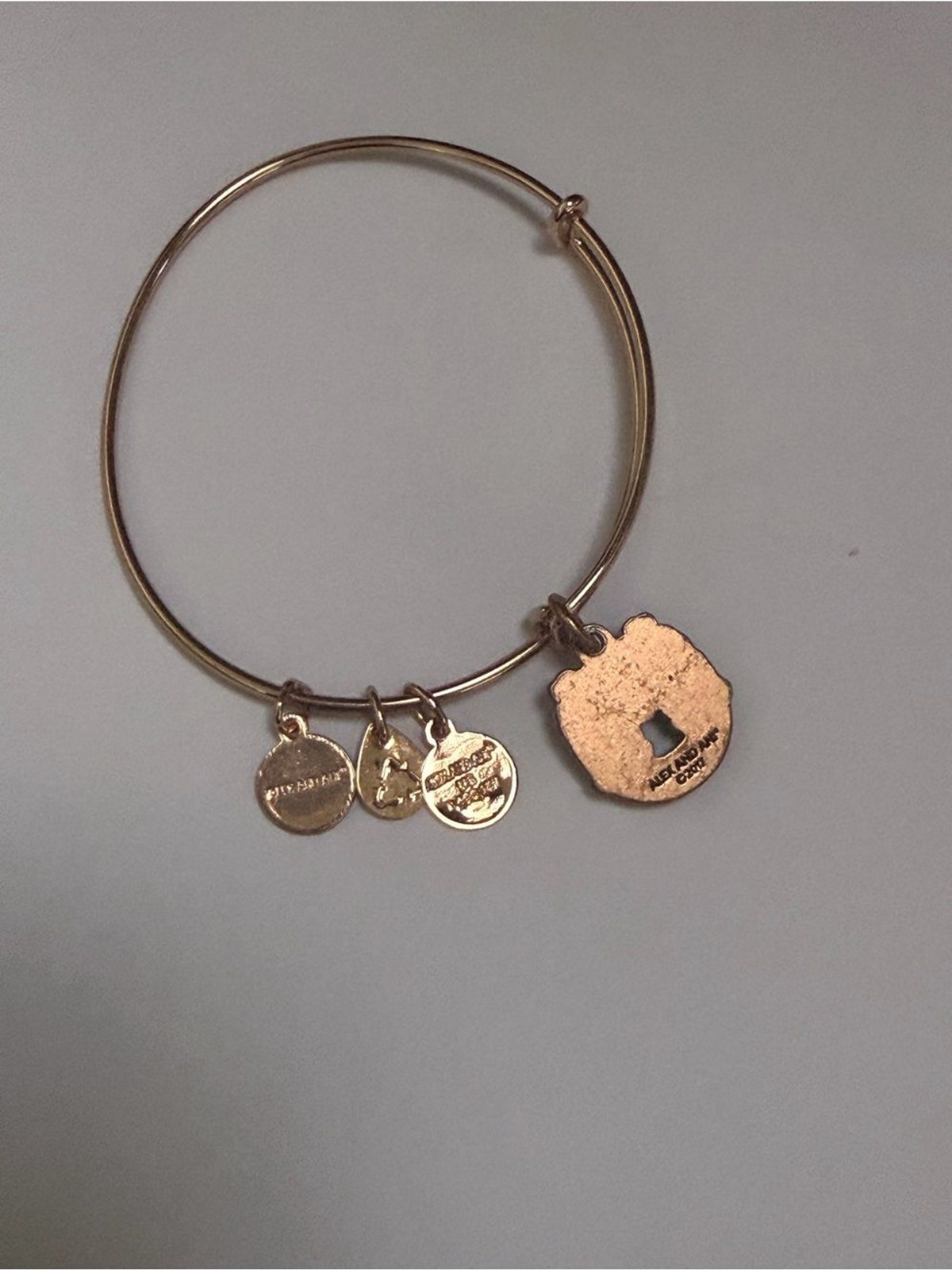 Love and Luck Horse Shoe Charm Bangle Bracelet with Pink Accent Alex and Ani gallery
