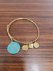ALEX AND ANI Gold Charm 2015 DIRECTION UNION BOND BRACELET FUN