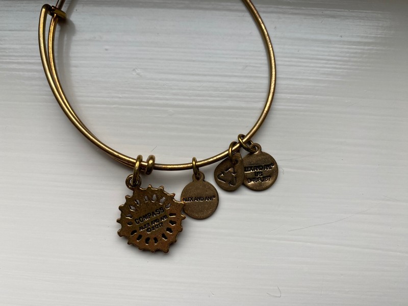 ALEX AND ANI Compass Bracelet Gold Tone Bangle & Charm Ships FREE w/Gift Bag gallery
