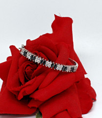 Sterling Silver SW Black & White CZ Bangle Bracelet 19.66g CAT RESCUE
