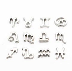 Zodiac Astrology Horoscope Birth Signs Floating Charms For Glass Lockets