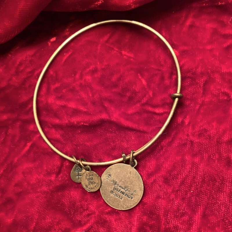 Alex and Ani 2013 "My Other Half" Charm Bangle Bracelet Gold Tone Adjustable gallery