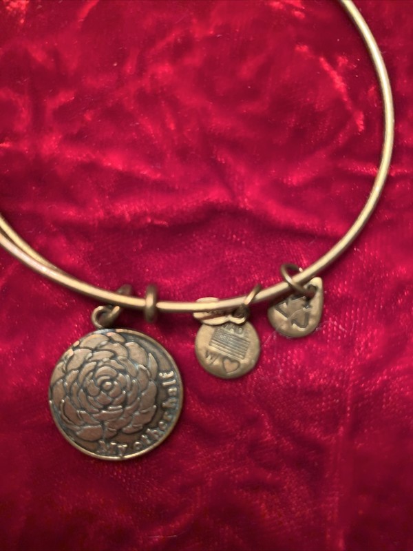 Alex and Ani 2013 "My Other Half" Charm Bangle Bracelet Gold Tone Adjustable gallery