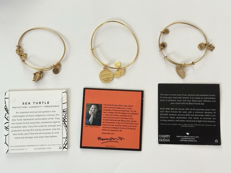 ALEX AND ANI Lot of 3 CHARM BRACELETS Britto Turtle Best Friends BANGLE JEWELRY gallery