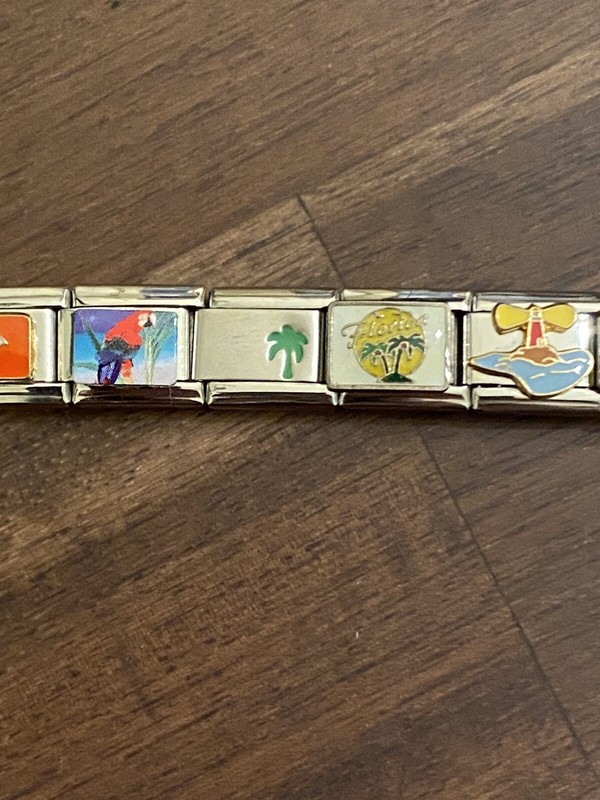 20 Charm Florida / Tropical- Italian Charm Bracelet New gallery