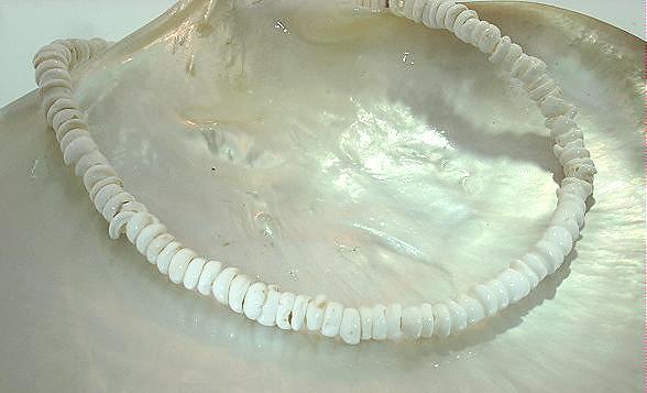 3.5mm-4.5mm Natural Baby White Virgin Cone Hawaiian Puka Shell Bracelet 7.75" gallery