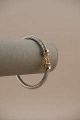 chic silver bracelet with gold colored hardware. simple yet chic