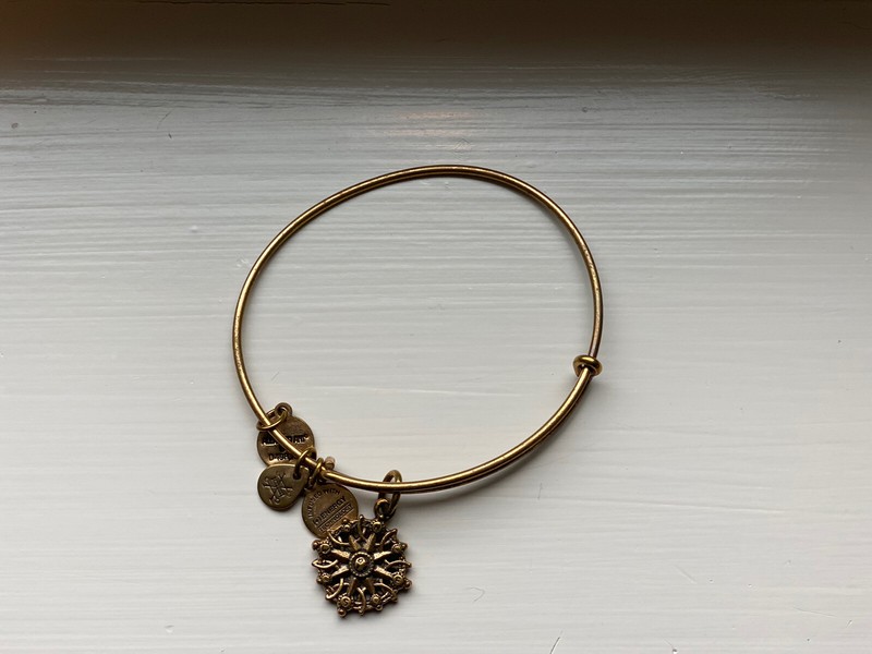 ALEX AND ANI Compass Bracelet Gold Tone Bangle & Charm Ships FREE w/Gift Bag gallery
