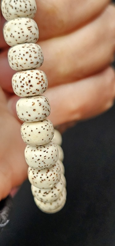 Natural Bodhi Seed Bracelet 8mm gallery