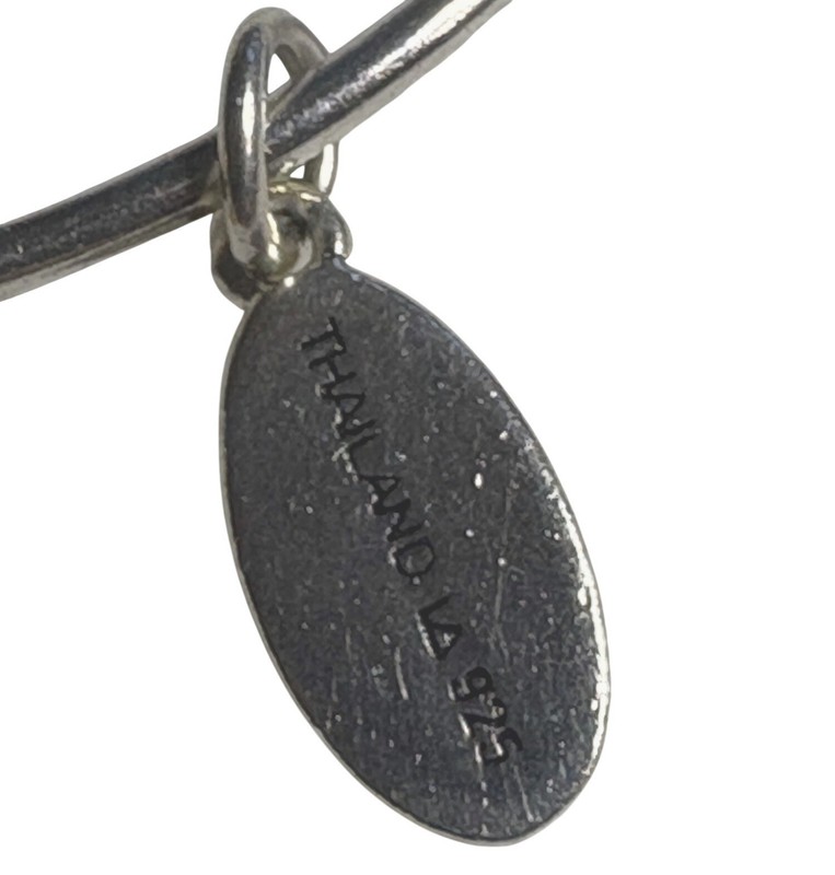 "Extraordinary Life" Always Sisters 925 Sterling Silver Adjustable Charm Bangle gallery