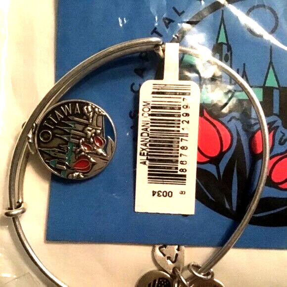 Alex and Ani Bracelet Ottawa Canada Silver-Tone Travel Bangle Charm NWT Tulips+ gallery