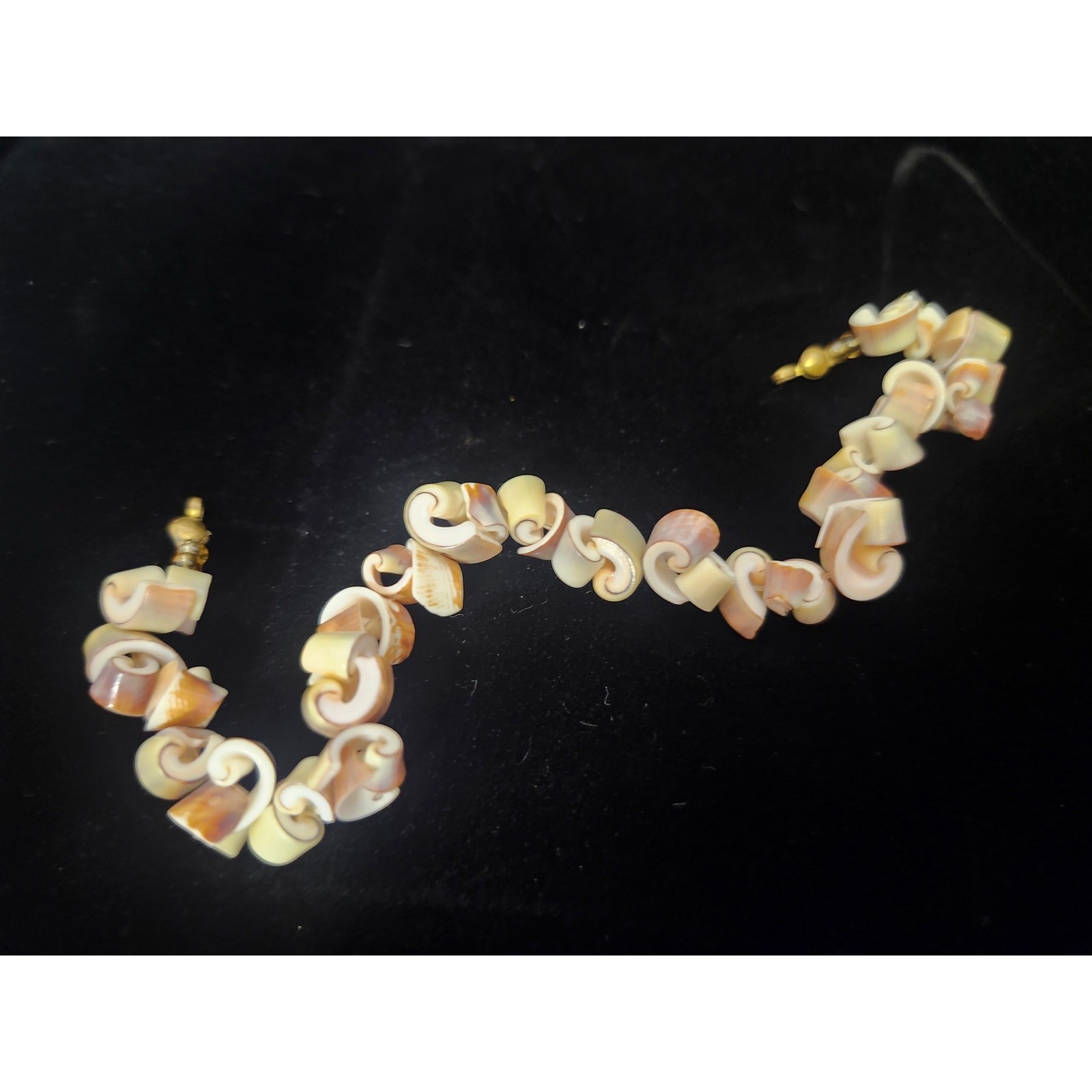 Natural Curly Curled Spiral Conch Shell Seashell Bracelet 7" Boho Beach gallery