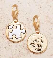 Amanda Blu Gold 2-Tone Charm – Puzzle Piece