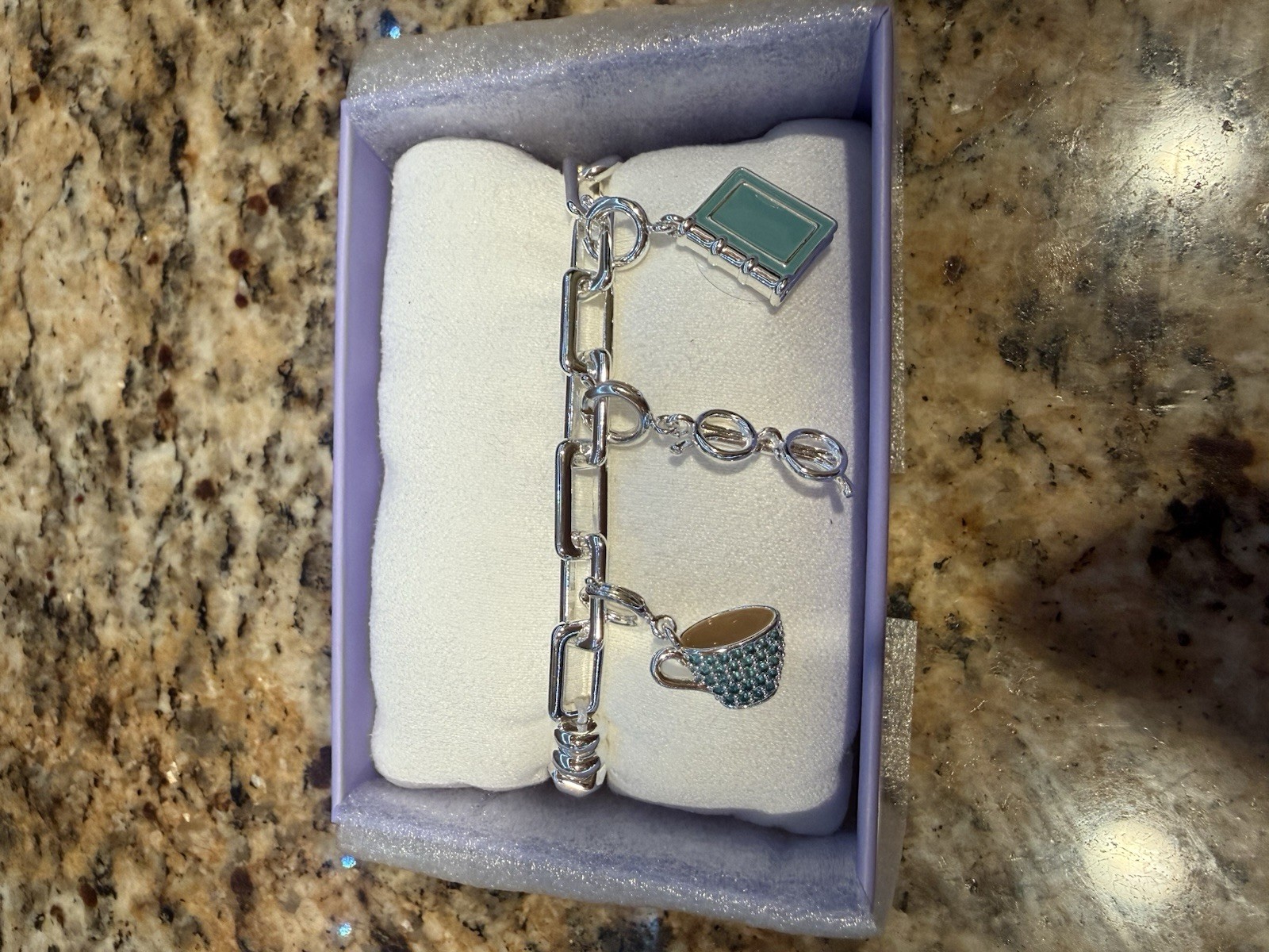 Bookworm Bliss Cubic Zirconia Charm Bracelet Silver Plated Aqua Removable Charms gallery