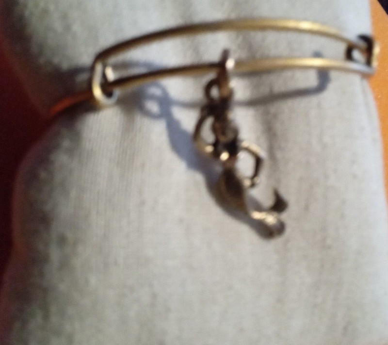 EUC Alex and Ani Mermaid Bangle Bracelet Feminity gallery