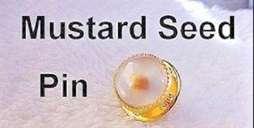 Great Gift Mustard Seed Charm Pin Religious Faith Jewelry gallery