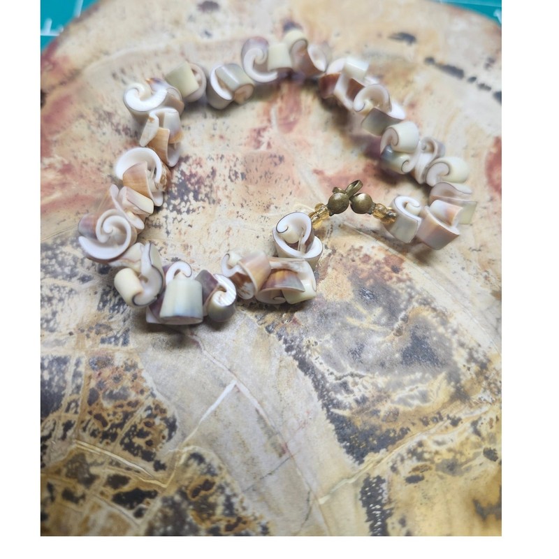 Natural Curly Curled Spiral Conch Shell Seashell Bracelet 7" Boho Beach gallery