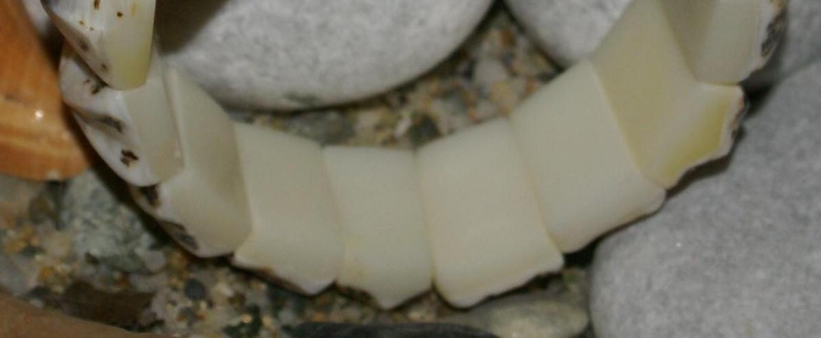 Handcrafted Tropical White Shell Bracelet A Vibrant Touch of Island Elegance gallery