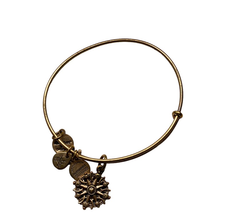 ALEX AND ANI Compass Bracelet Gold Tone Bangle & Charm Ships FREE w/Gift Bag gallery