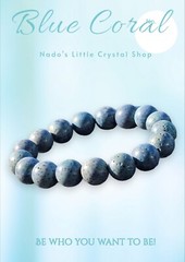 Natural Blue Coral 11.5mm Bracelet