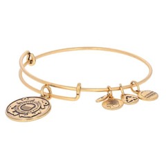 NEW Alex and Ani United States Coast Guard Bracelet – Gold Toned Adjustable Size