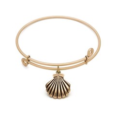 SOL 220066 Seashell, Bangle Antique Gold Color Finish